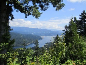 Natio<em></em>nal Energy Board sides with Kinder Morgan in B.C.