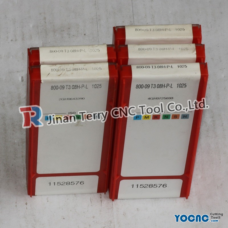 800-09T308H-P-L 1025(2)