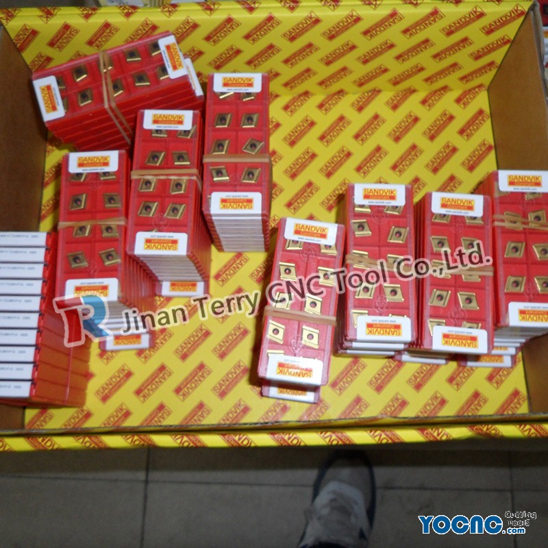 SAM_3904